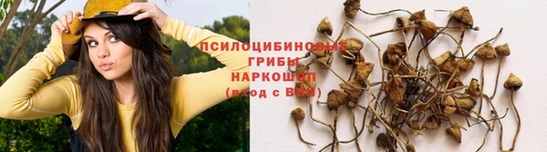 каннабис Няндома