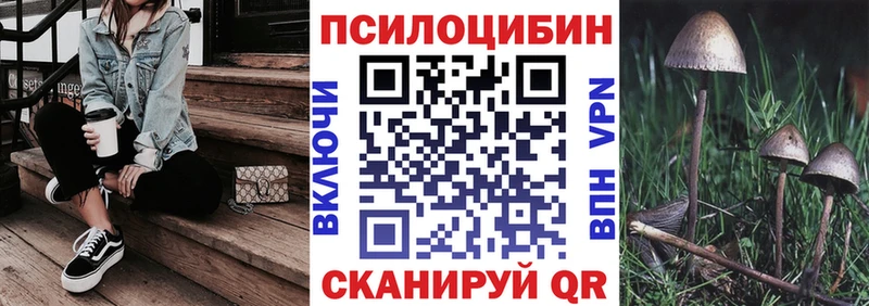hydra ссылка  Партизанск  Галлюциногенные грибы Cubensis  дарнет шоп 