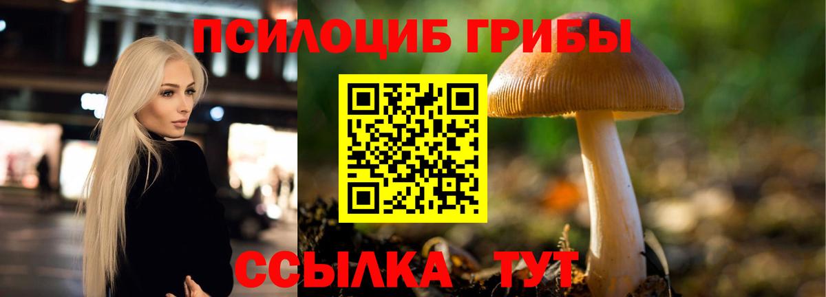 Партизанск  магазин продажи   Вход с VPN  Галлюциногенные грибы мухоморы 