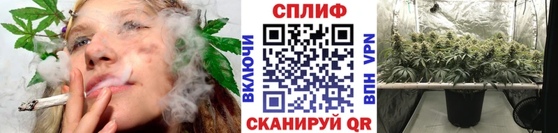 Конопля SATIVA & INDICA  где купить наркотик  Партизанск 